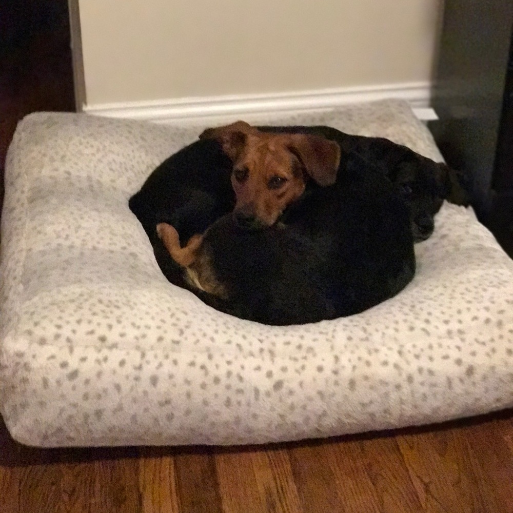 Meet your Posher, Crystal